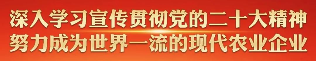 广东农垦参与湛江糖料蔗保险+期货项目获郑商所支持立项