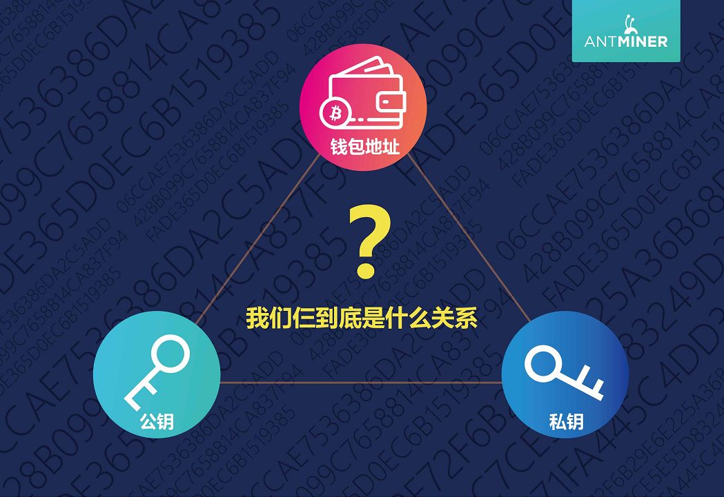 btc钱包地址是一样的吗