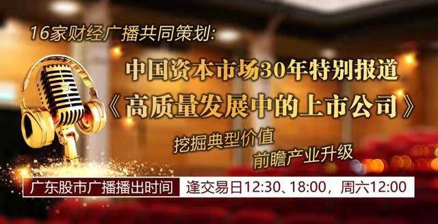 深入了解我国证券交易所：功能、特点与发展概述