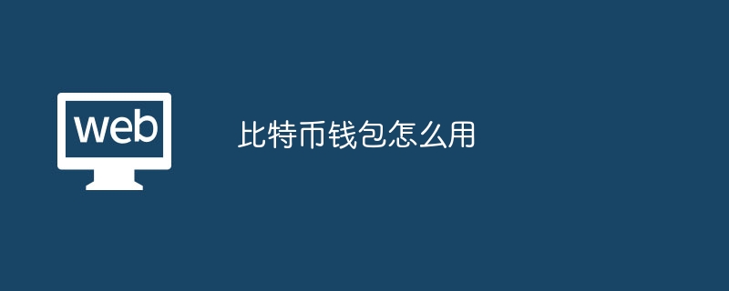 掌握比特币存储入门技巧，全面解析比特币钱包使用方法