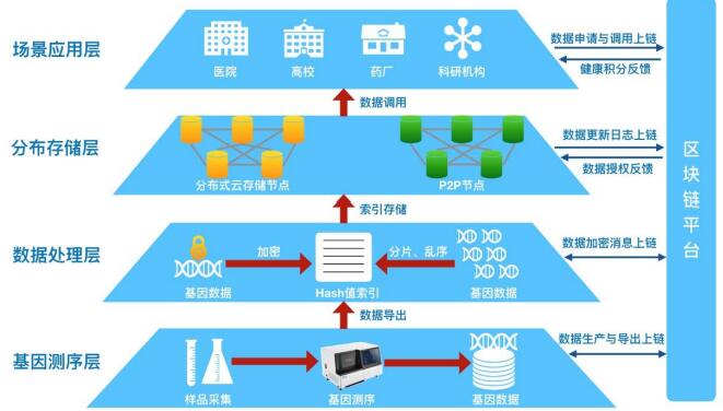 区块链分布式数据库在企业会计信息系统中的实际应用探讨