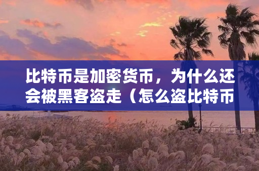 揭秘黑客偷走比特币的五种常见威胁