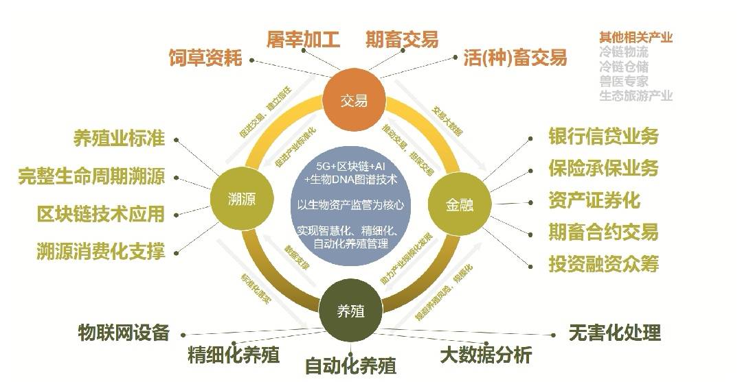 新农村新征程新发展：农业农村部印发推进肉牛肉羊生产发展五年行动方案