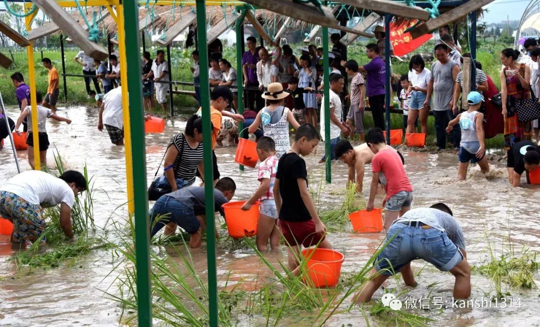 肖磊：中国经济的新支撑点，股市崛起，房市退位