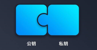 科普：深入解析公钥和私钥的差异