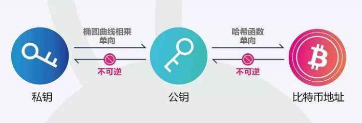 科普：深入解析公钥和私钥的差异