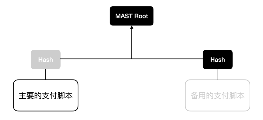 深入了解比特币协议关键里程碑：Schnorr 签名与 Taproot 软分叉升级